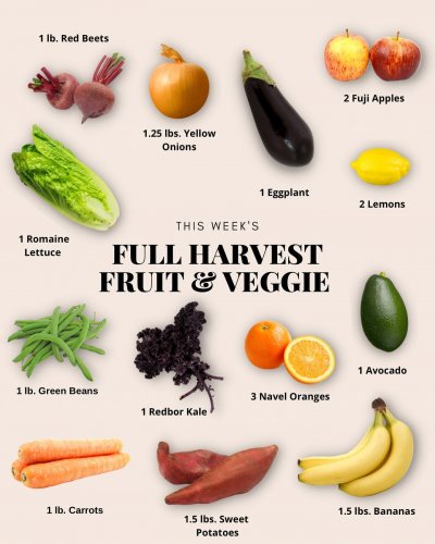 Photo post from farmbox_arizona.