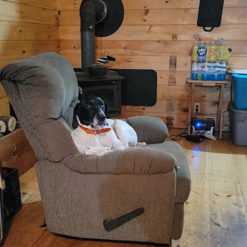 Photo post from reddogguideservice.