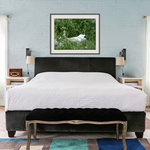 Photo post from hotelonnorth.