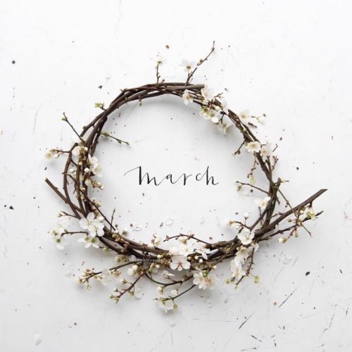 Photo post from madianitellc.