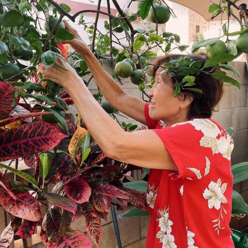 Photo post from kupunacarehawaii.