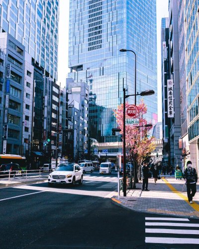 Photo post from kaimu_photo.