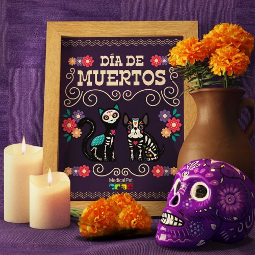 Photo post from medicalpettj.