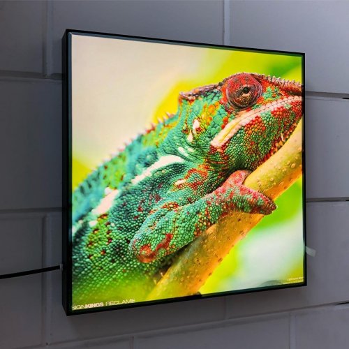 Photo post from signkings.