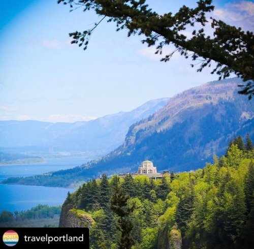 Photo post from ryan_shoda_121.