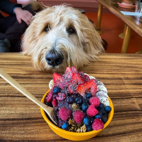 Photo post from sporkbytes.