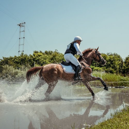Carousel post from fei_global.