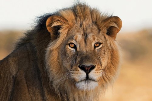 Photo post from taucktravel.