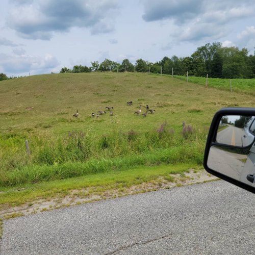 Carousel post from reddogguideservice.