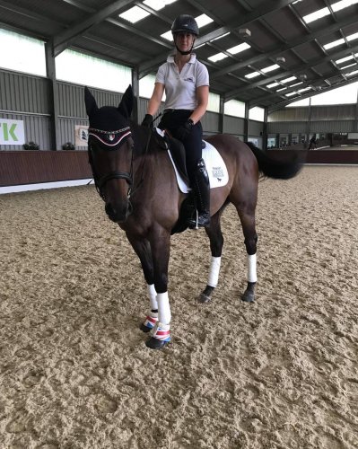 Photo post from mbddressage.