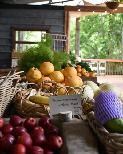 Photo post from currumbinvalleyharvest.