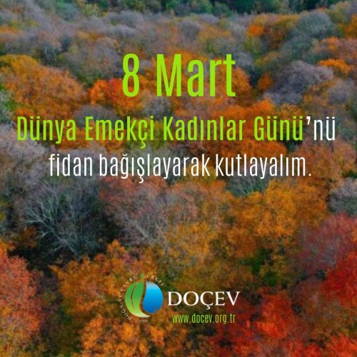 Photo post from dogavecevrevakfi.