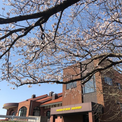 Carousel post from daisen_brewery.