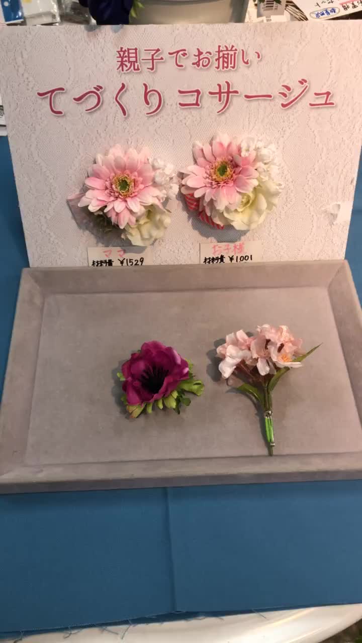 Embed Feed Embed Feed