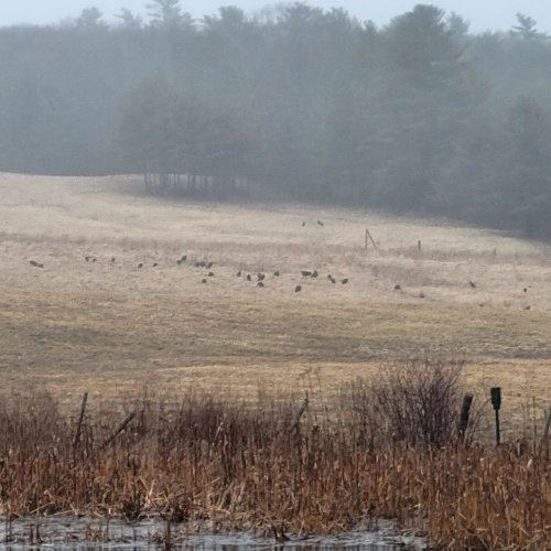 Photo post from reddogguideservice.