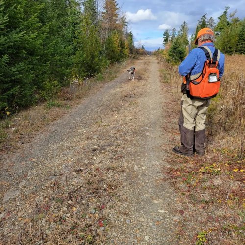 Carousel post from reddogguideservice.