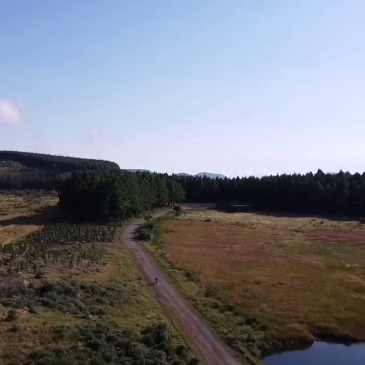 Video post from mtbapp.