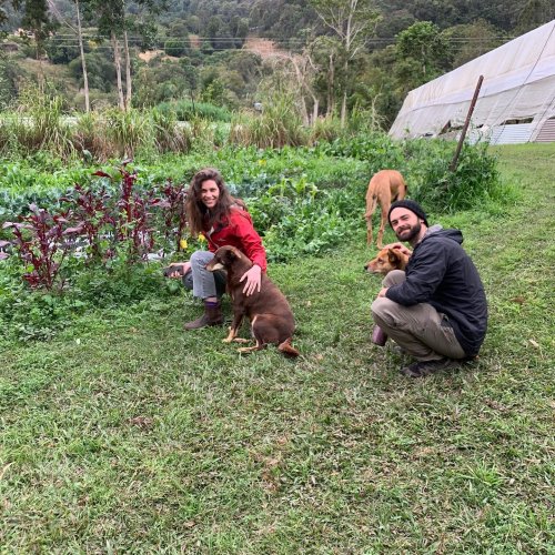 Carousel post from currumbinvalleyharvest.