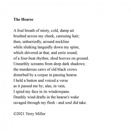 Photo post from terrymillerartist.