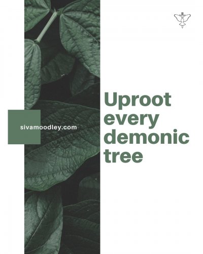 Carousel post from drsivamm.