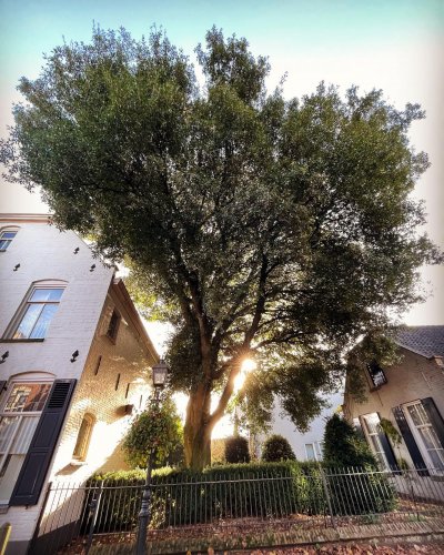 Photo post from visitoirschot.