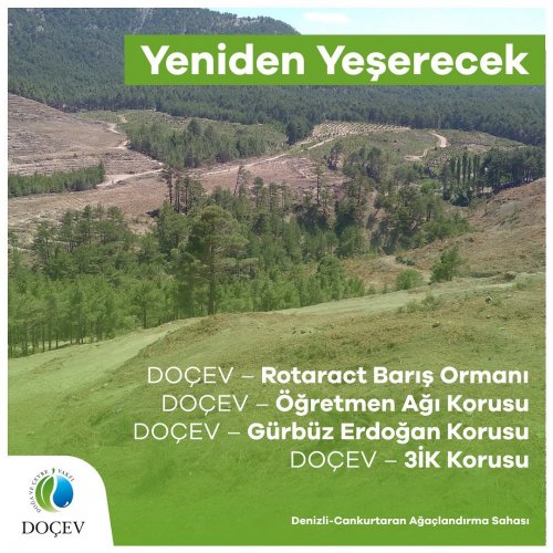 Photo post from dogavecevrevakfi.