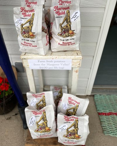 Carousel post from freyaetthor.