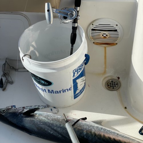Carousel post from ejs_fishing_charters.