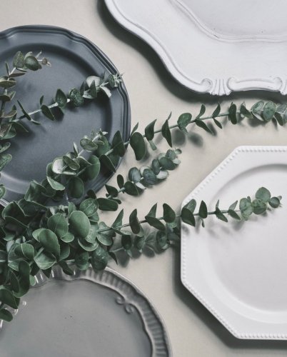 Photo post from crane_living.