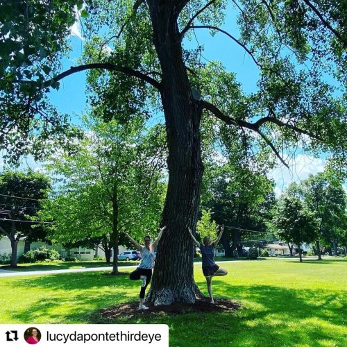 Photo post from winooskirec.