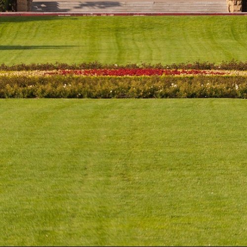 Photo post from stanford_scigc.