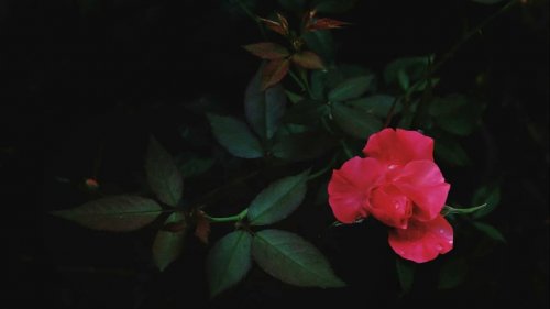 Carousel post from jakbobby.