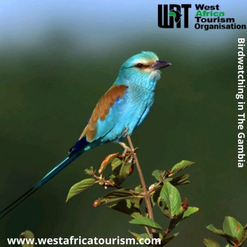 Photo post from wafricatourism.