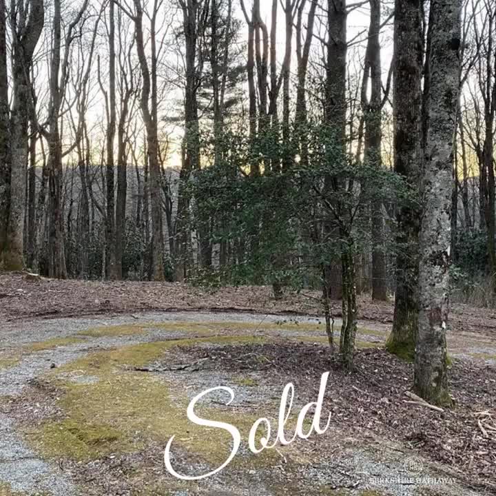 Video post from bhhsmmr.
