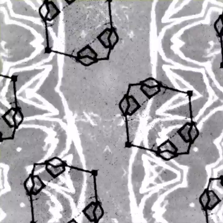 Video post from owae.ga.