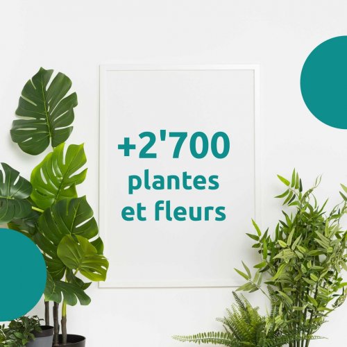 Photo post from ricardo_ch.fr.