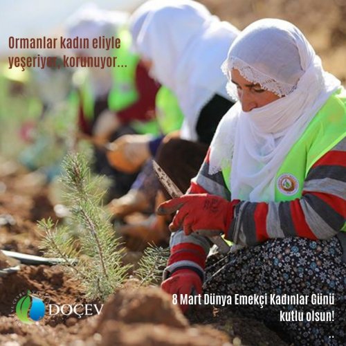 Photo post from dogavecevrevakfi.