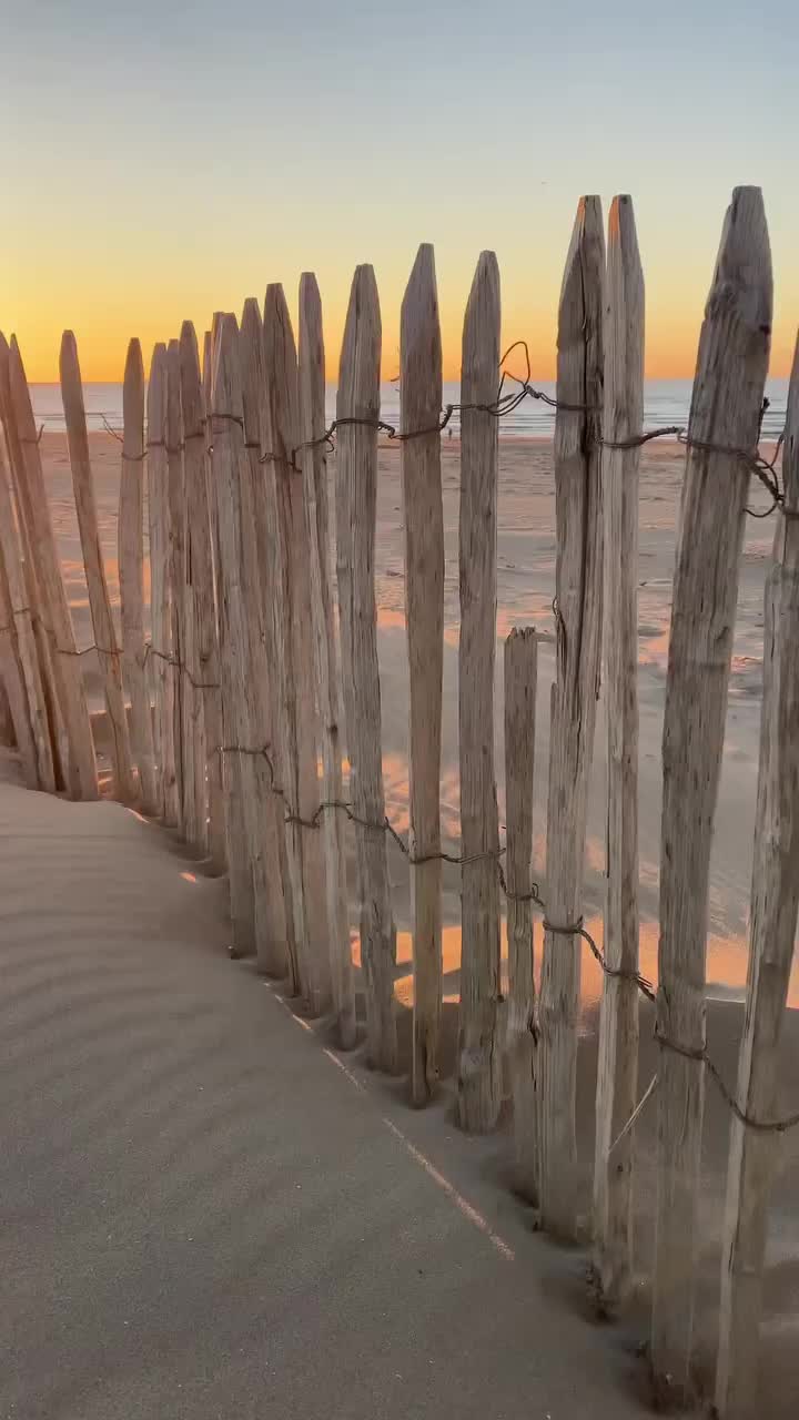 Video post from ditiskatwijk.