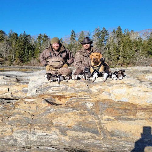 Carousel post from reddogguideservice.