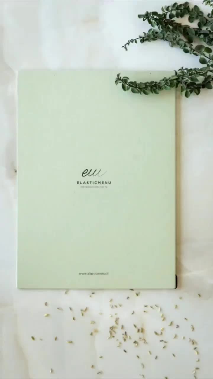 Video post from elasticmenu.