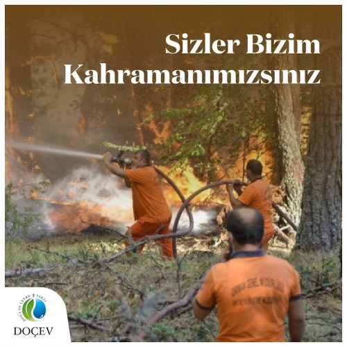 Photo post from dogavecevrevakfi.