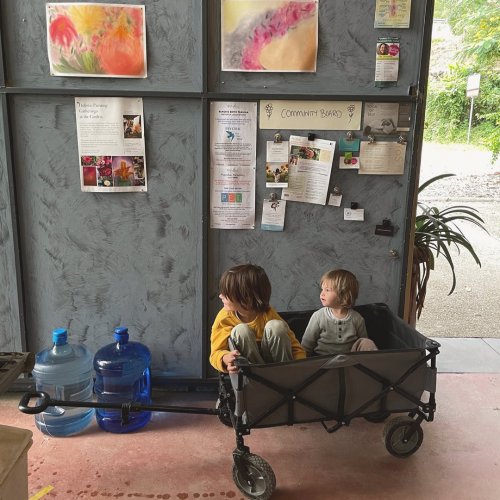 Photo post from currumbinvalleyharvest.