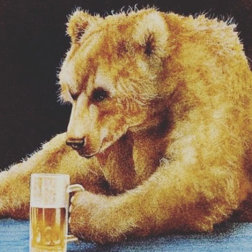 Photo post from northlandbrew.