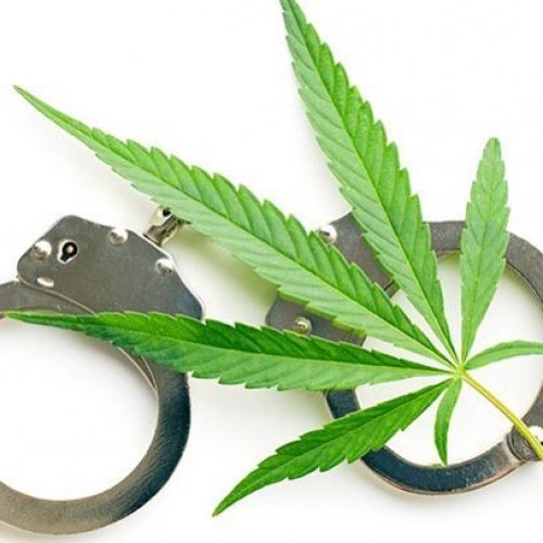 Photo post from kynorml.