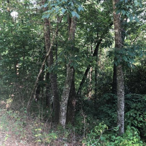 Photo post from bhhsmmr.