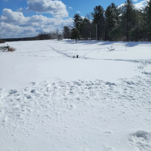 Carousel post from reddogguideservice.