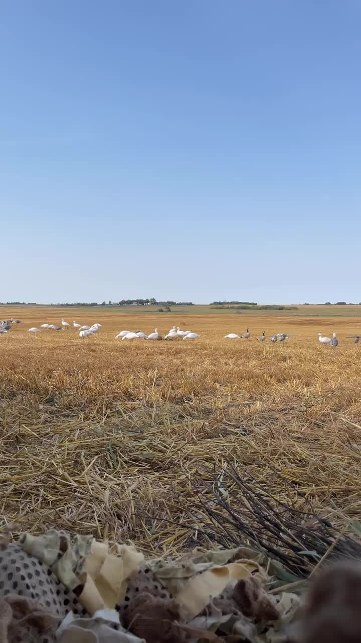 Video post from northernskiesoutfitters.