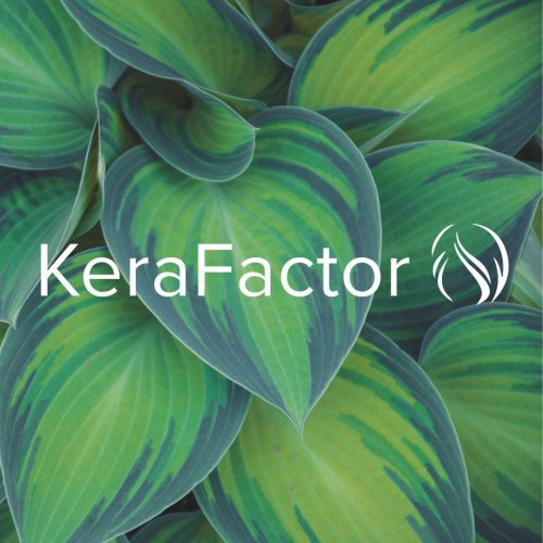 Photo post from kerafactor.