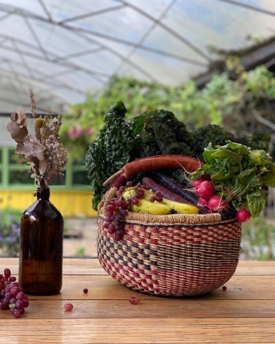 Photo post from currumbinvalleyharvest.