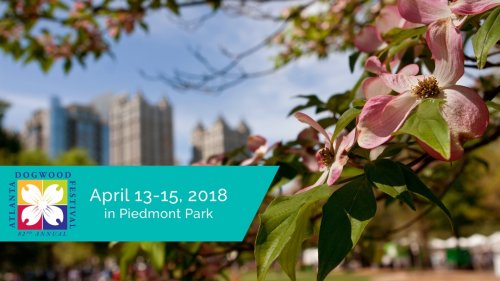 Photo post from dogwoodfestival.